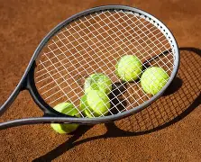 网球夜战：洞庭银狐队绝杀三湘猎隼队，速度优势明显精神属性拉满的简单介绍